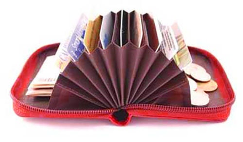 New Solid Genuine Leather Women's Wallet Accordion Style Credit Card Holder Zip Around Small